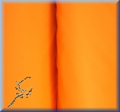 Stretch-Fleece, calendula - bi-elastisch
